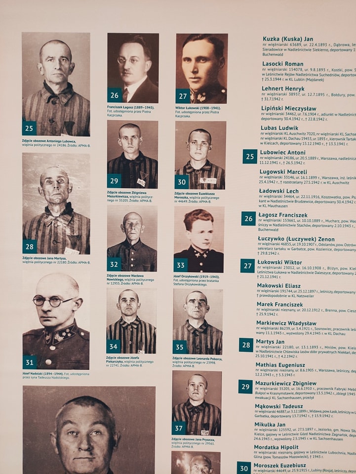 Zdjęcie przedstawia planszę prezentującą zdjęcia leśników i notki biograficzne leśników deportowanych do KL Auschwitz. Fot. A. Bończyk (RDLP w Poznaniu).