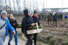 Aby powrócił las...pomoc poznańskich studentów