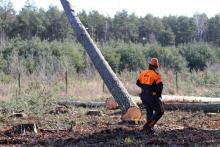 Bezpieczne techniki i technologie pracy przy pozyskaniu i zrywce drewna