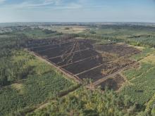 Komunikat Nadleśnictwa Gniezno - 21.08.2024